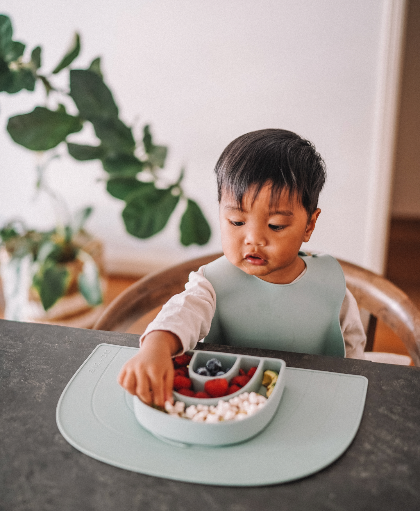 Rainbow Plate | Slate